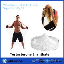 99% Pharmazeutische Chemikalien Steroid Pulver Hormon Testosteron Enanthate